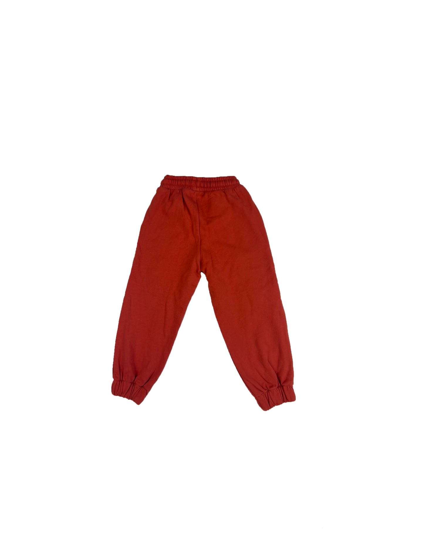 VINTAGE WASHED TERRA JOGGERS